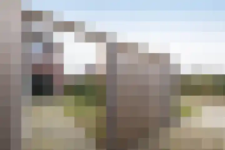 Vossenbes 35 Borne thumbnail 31