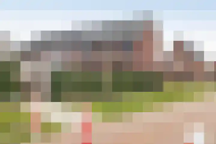 Vossenbes 35 Borne thumbnail 32