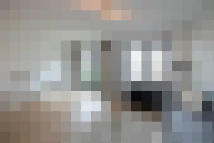 Vossenbes 35 Borne thumbnail 5