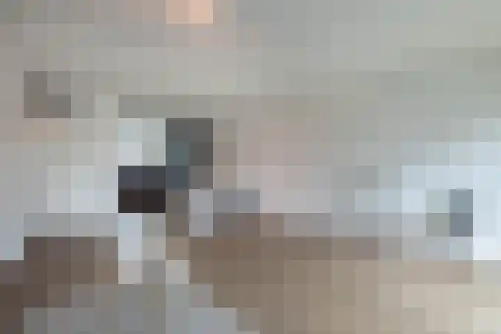 Vossenbes 35 Borne thumbnail 8