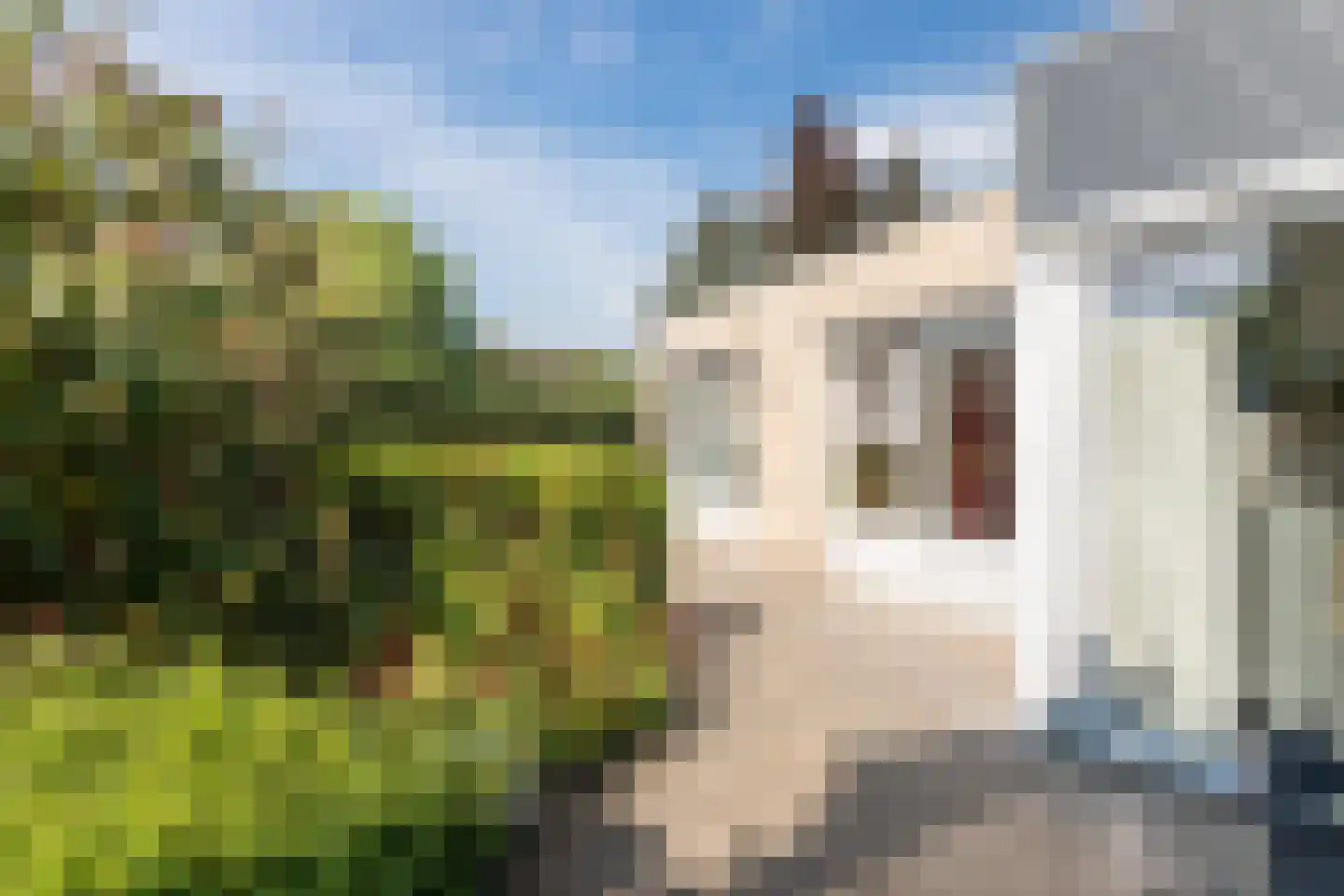 Vossenbeshof 4 Apeldoorn thumbnail 33