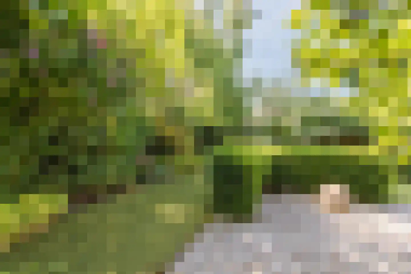 Vossenbeshof 4 Apeldoorn thumbnail 35