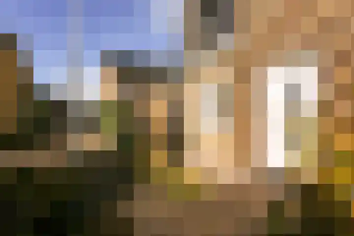 Vossenbesstraat 3 Amsterdam thumbnail 6