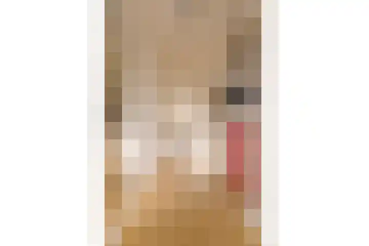 Vossenbesstraat 3 Amsterdam thumbnail 7