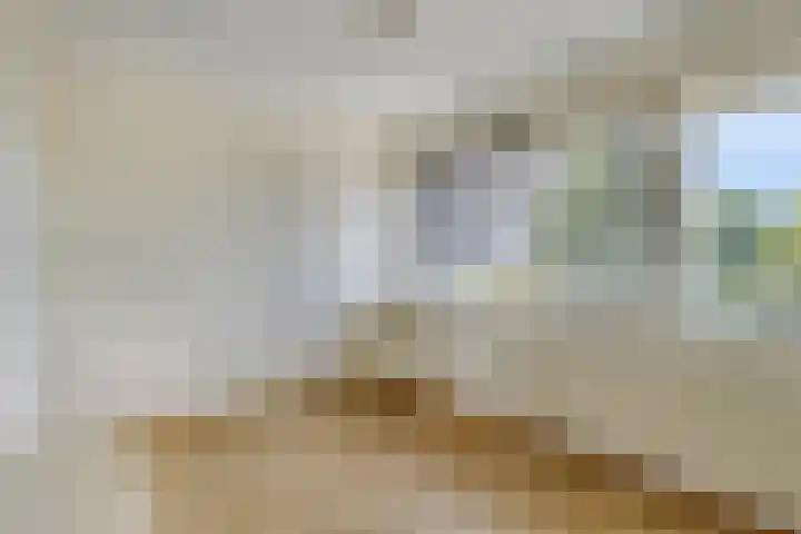 Vossenbosstraat 28 Berghem thumbnail 20