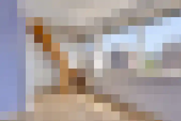 Vossenbosstraat 28 Berghem thumbnail 23