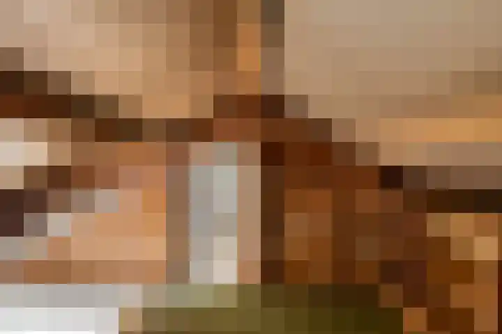 Vossenbosstraat 28 Berghem thumbnail 24