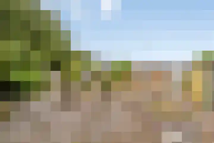Vossenbosstraat 28 Berghem thumbnail 26