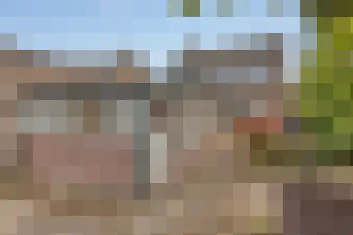 Vossenbosstraat 28 Berghem thumbnail 28