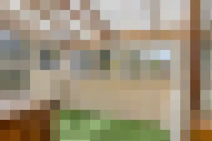 Vossenbosstraat 28 Berghem thumbnail 29