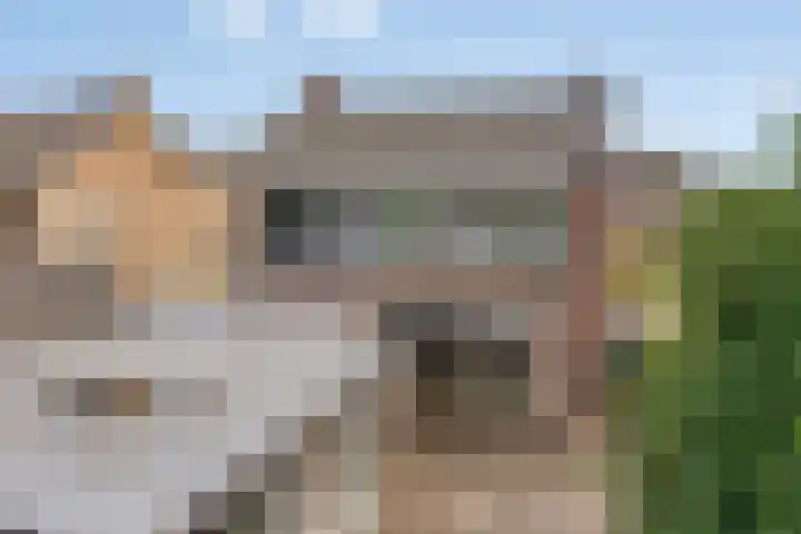 Vossenbosstraat 28 Berghem thumbnail 31