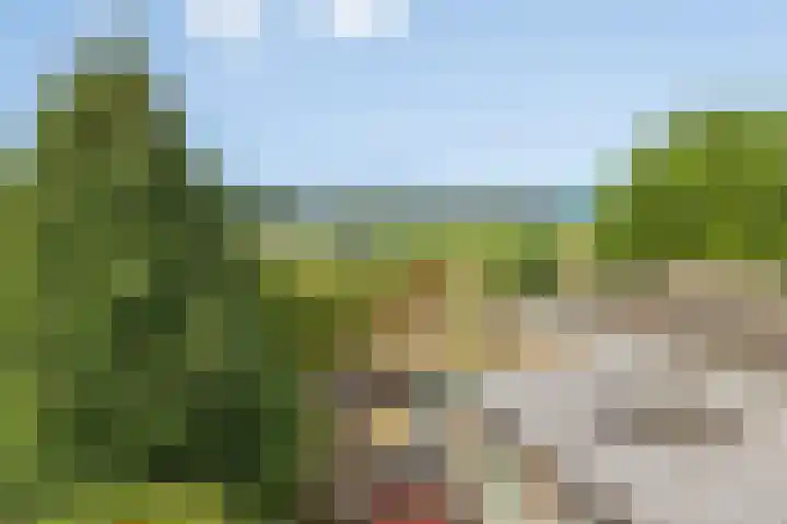 Vossenbosstraat 28 Berghem thumbnail 33