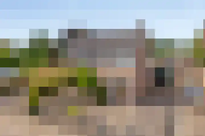 Vossenbosstraat 28 Berghem thumbnail 34