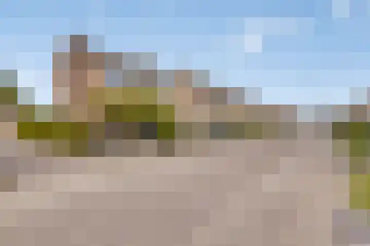 Vossenbosstraat 28 Berghem thumbnail 36