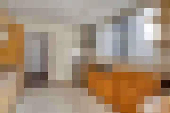 Vossenbosstraat 28 Berghem thumbnail 8