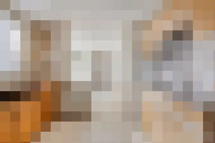 Vossenbosstraat 28 Berghem thumbnail 9