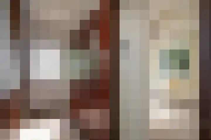 Vossenbosweg 1 Wierden thumbnail 11