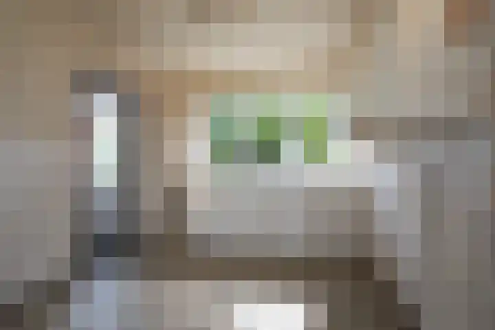 Vossenbosweg 1 Wierden thumbnail 14