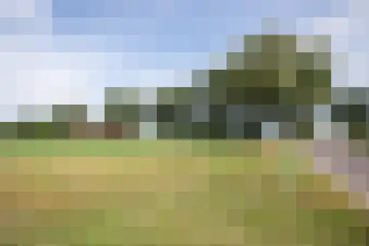 Vossenbosweg 1 Wierden foto 2