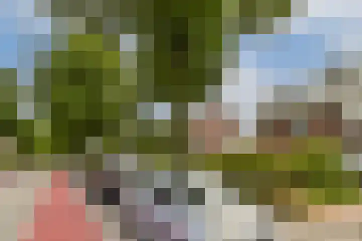 Vossenbosweg 1 Wierden thumbnail 22