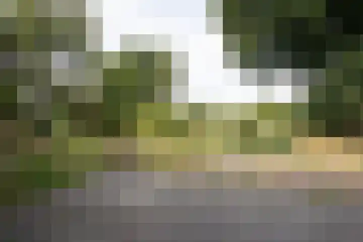 Vossenbosweg 1 Wierden thumbnail 22