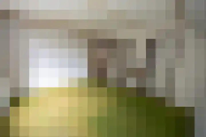 Vossenbosweg 1 Wierden thumbnail 25
