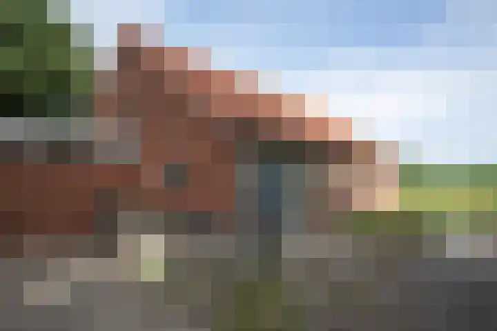 Vossenbosweg 1 Wierden thumbnail 28
