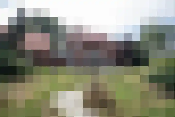 Vossenbosweg 1 Wierden foto 3