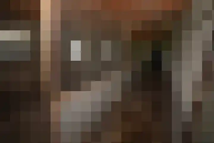 Vossenbosweg 1 Wierden thumbnail 35
