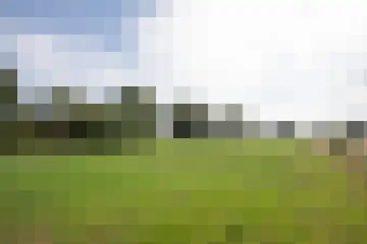 Vossenbosweg 1 Wierden thumbnail 39