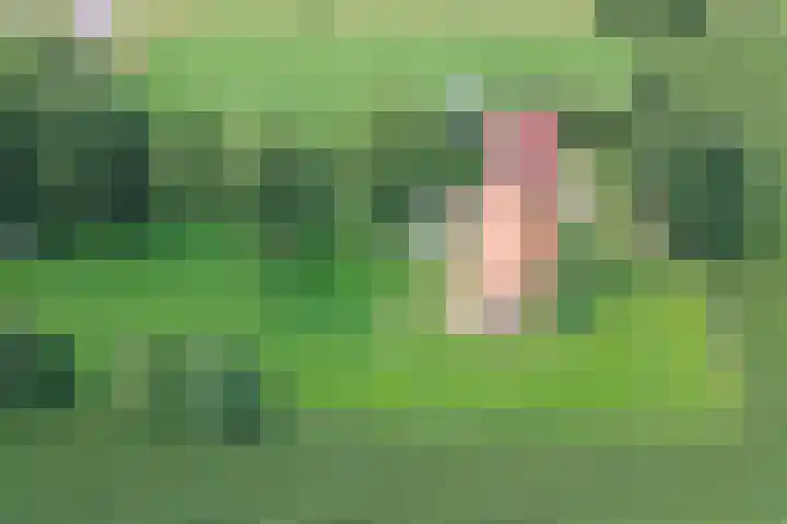 Vossenbosweg 1 Wierden thumbnail 4