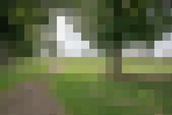 Vossenbosweg 1 Wierden thumbnail 40