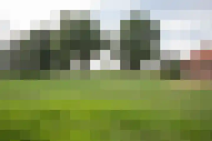 Vossenbosweg 1 Wierden thumbnail 41