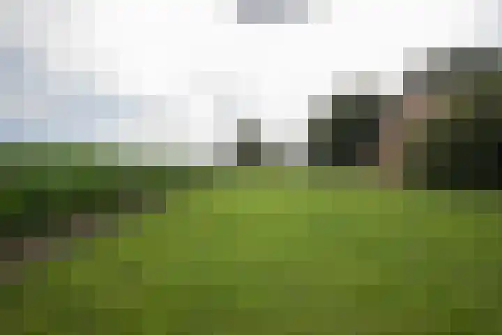 Vossenbosweg 1 Wierden thumbnail 43