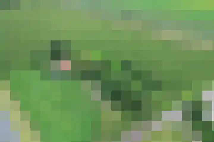 Vossenbosweg 1 Wierden thumbnail 44