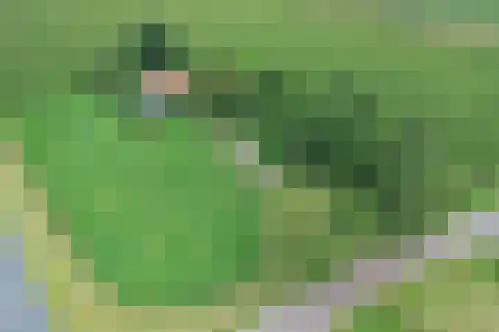 Vossenbosweg 1 Wierden thumbnail 45
