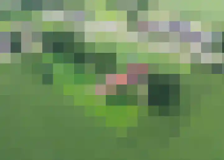 Vossenbosweg 1 Wierden thumbnail 46
