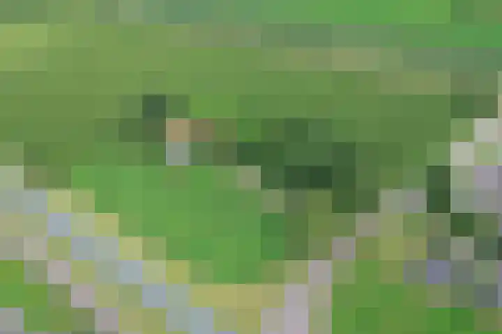 Vossenbosweg 1 Wierden thumbnail 47