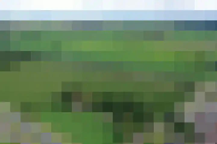 Vossenbosweg 1 Wierden thumbnail 48