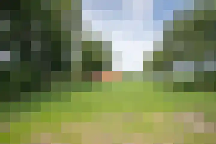 Vossenbosweg 1 Wierden thumbnail 5