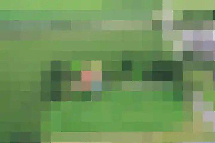 Vossenbosweg 1 Wierden thumbnail 56