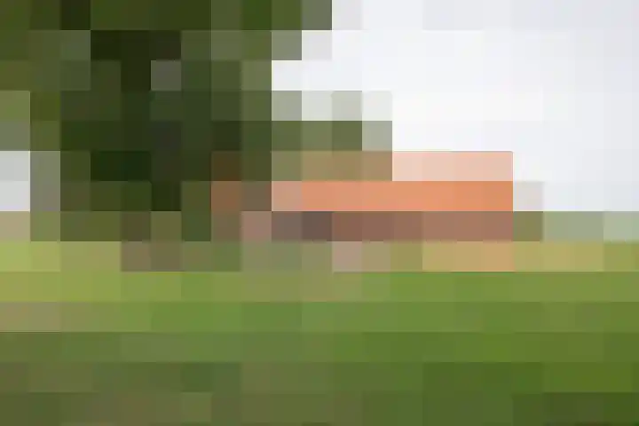 Vossenbosweg 1 Wierden thumbnail 7