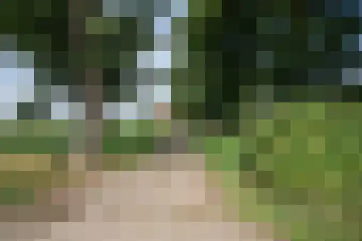 Vossenbosweg 1 Wierden thumbnail 8