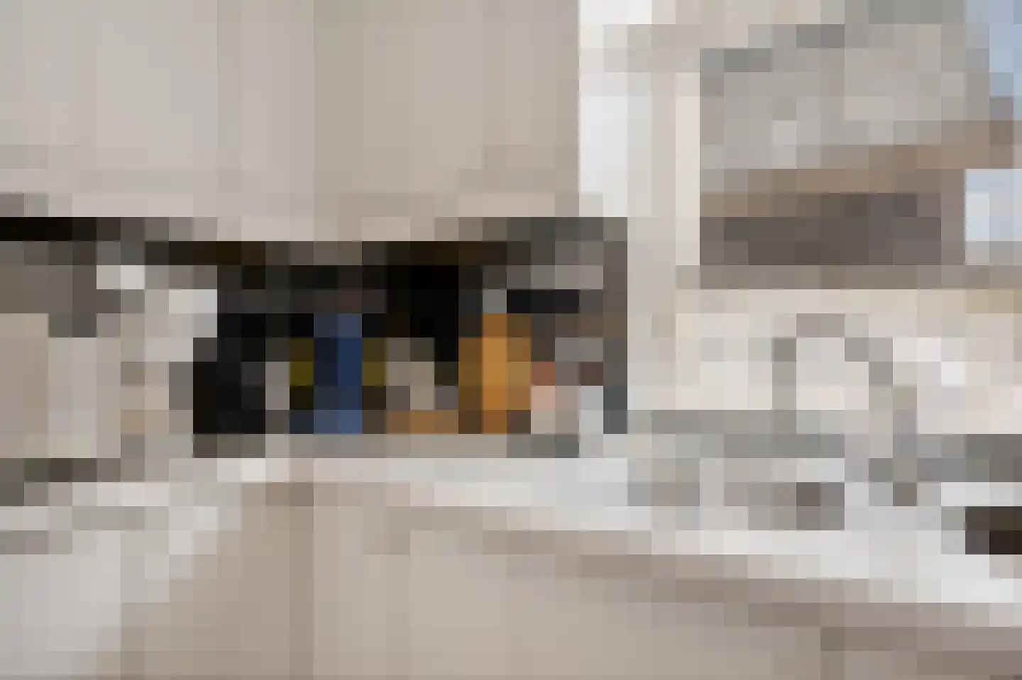Vossenbrink 14 Delden thumbnail 16