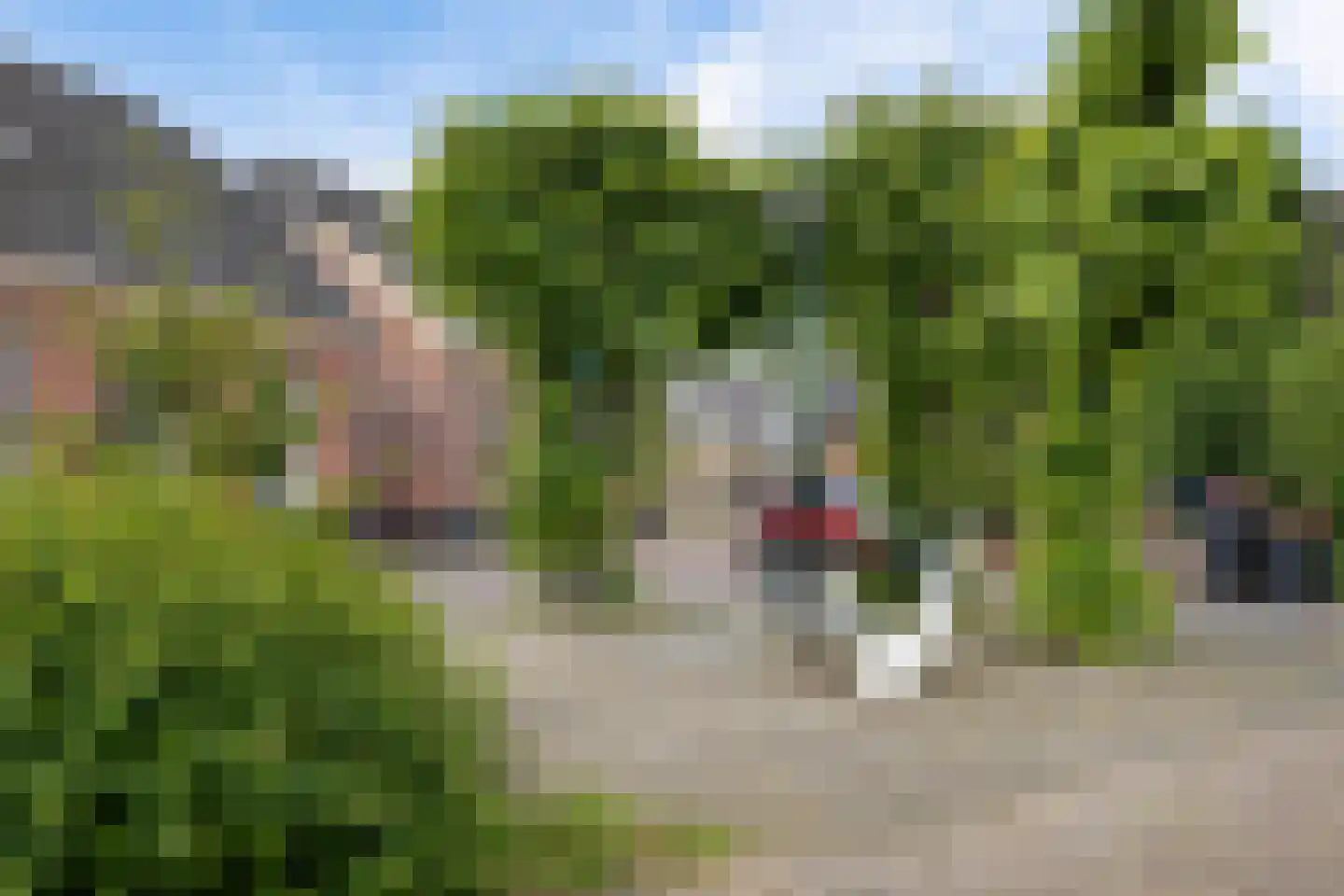 Vossenbrink 14 Delden thumbnail 29