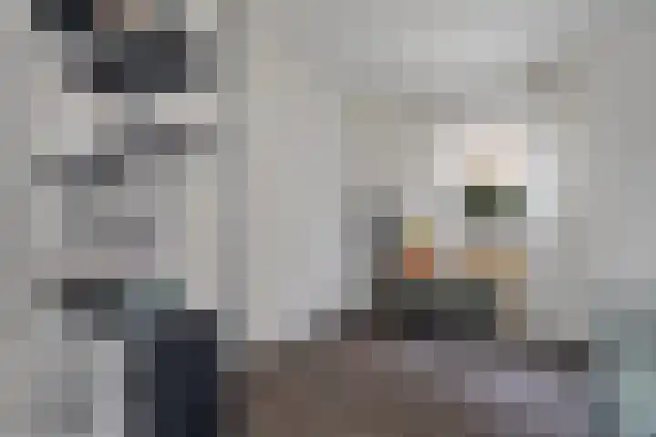 Vossenbrinkweg 31 Delden thumbnail 15