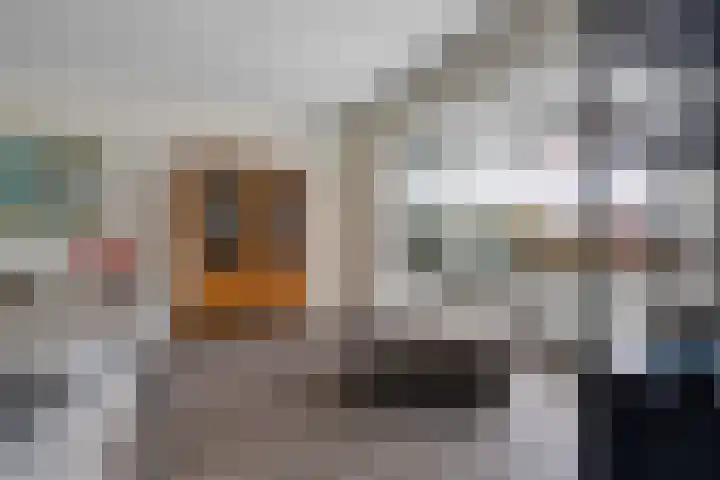 Vossenbrinkweg 31 Delden thumbnail 17