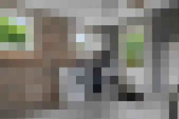 Vossenbrinkweg 31 Delden thumbnail 24