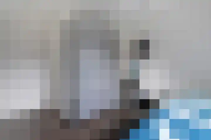 Vossenbrinkweg 31 Delden thumbnail 37