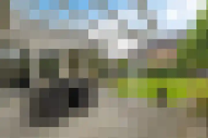 Vossenbrinkweg 31 Delden thumbnail 46